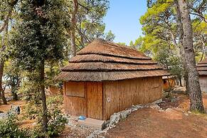 Pine Beach Pakostane - All Inclusive light