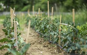 Varos Village Boutique Hotel