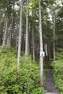 Tall Trees Bed & Breakfast