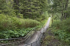 Tall Trees Bed & Breakfast