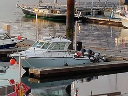 Tall Trees Bed & Breakfast