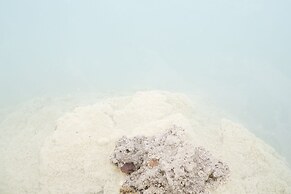 The Springs Resort & Spa