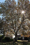 Airport Motel Sir Francis Drake