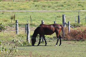Airport Motel Sir Francis Drake