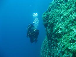 Myrties Boutique Apartments