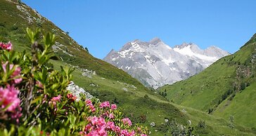 La Grange Aux Marmottes