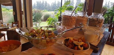 Addo Dung Beetle Guest Farm