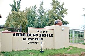 Addo Dung Beetle Guest Farm