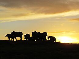 Addo Dung Beetle Guest Farm