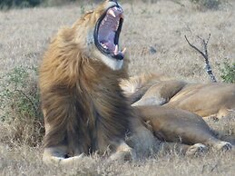 Addo Dung Beetle Guest Farm