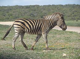 Addo Dung Beetle Guest Farm