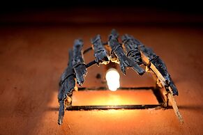 Addo Dung Beetle Guest Farm