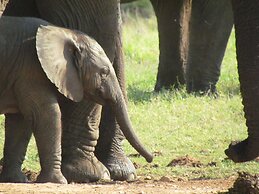 Addo Dung Beetle Guest Farm