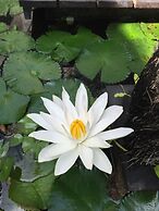 Amor Bali Villas & Spa Resort