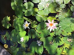 Amor Bali Villas & Spa Resort