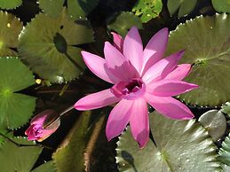 Amor Bali Villas & Spa Resort