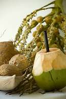 Breezes Beach Club & Spa – Half Board