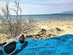 Blue Harmony Apartments