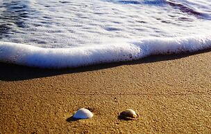 Blue Harmony Apartments