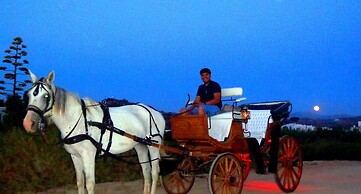 Blue Harmony Apartments