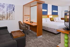 SpringHill Suites by Marriott Durham Chapel Hill