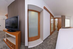 SpringHill Suites by Marriott Durham Chapel Hill