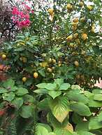 Canavial I & II Apartments