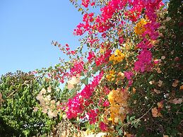 Canavial I & II Apartments