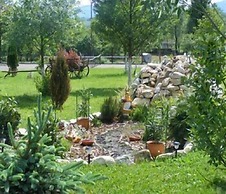 Hotel Bran Belvedere