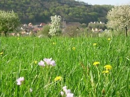 Kleiber