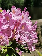 Hôtel Restaurant Ambroise