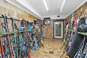 Hotel Pinzgauerhof by Skinetworks