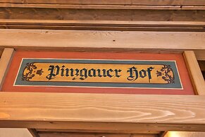 Hotel Pinzgauerhof by Skinetworks