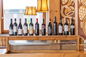 Hotel Pinzgauerhof by Skinetworks