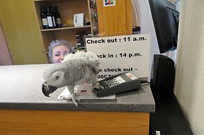 U Dvou Zlatych Klicu