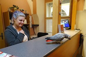 U Dvou Zlatych Klicu