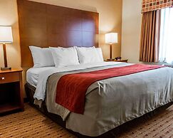 Comfort Inn & Suites Franklin East