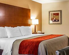 Comfort Inn & Suites Franklin East