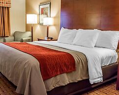 Comfort Inn & Suites Franklin East