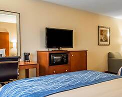 Comfort Inn & Suites Franklin East