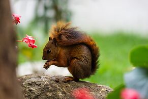 Hotel Greenview Medellin