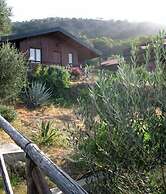 Agriturismo San Cataldo Farm Home