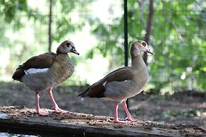 Agriturismo San Cataldo Farm Home