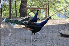 Agriturismo San Cataldo Farm Home