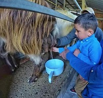 Agriturismo San Cataldo Farm Home