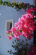 Maria's Place - Adults Only