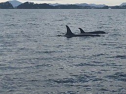 Sitka Hotel and Restaurant