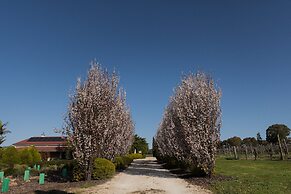 Barossa Shiraz Estate