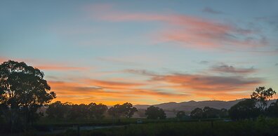 Barossa Shiraz Estate