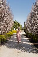 Barossa Shiraz Estate